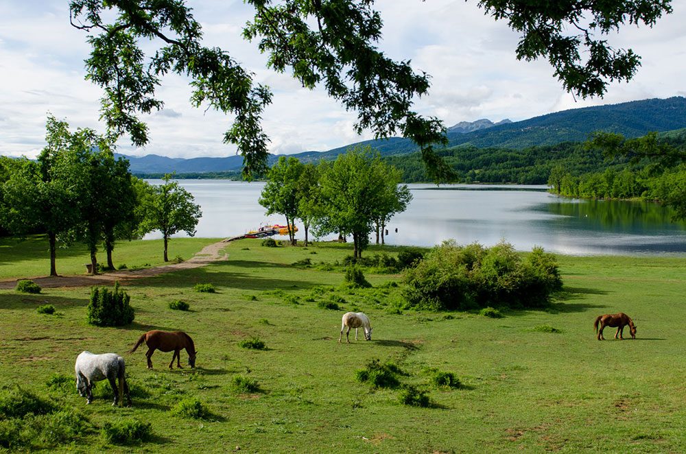 Lac Plastira, une nature préservée