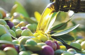 L’olive, un trésor consommé depuis le Néolithique