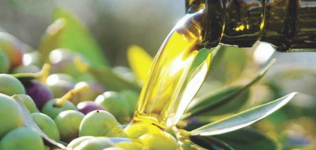 L’olive, un trésor consommé depuis le Néolithique