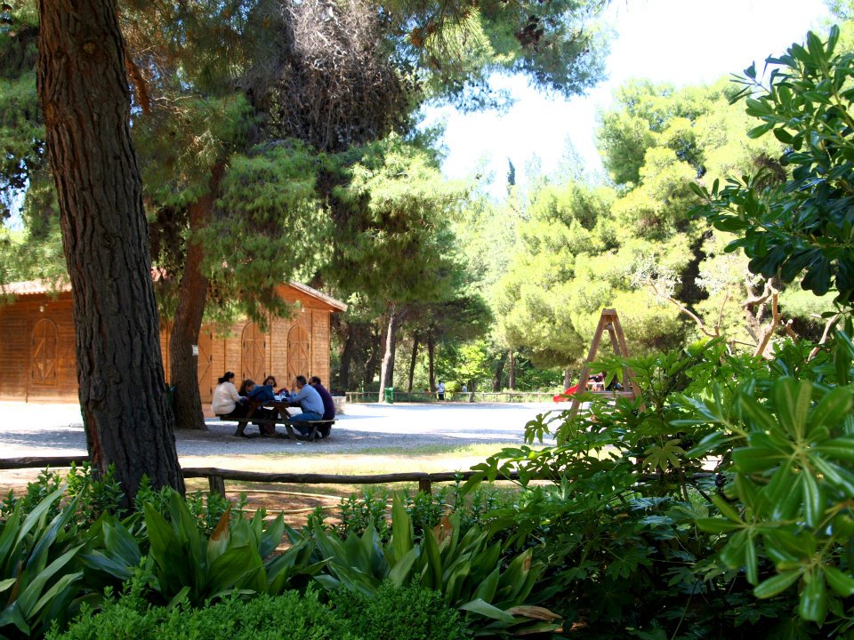 Le jardin botanique est très agréable pour un repas champêtre. 